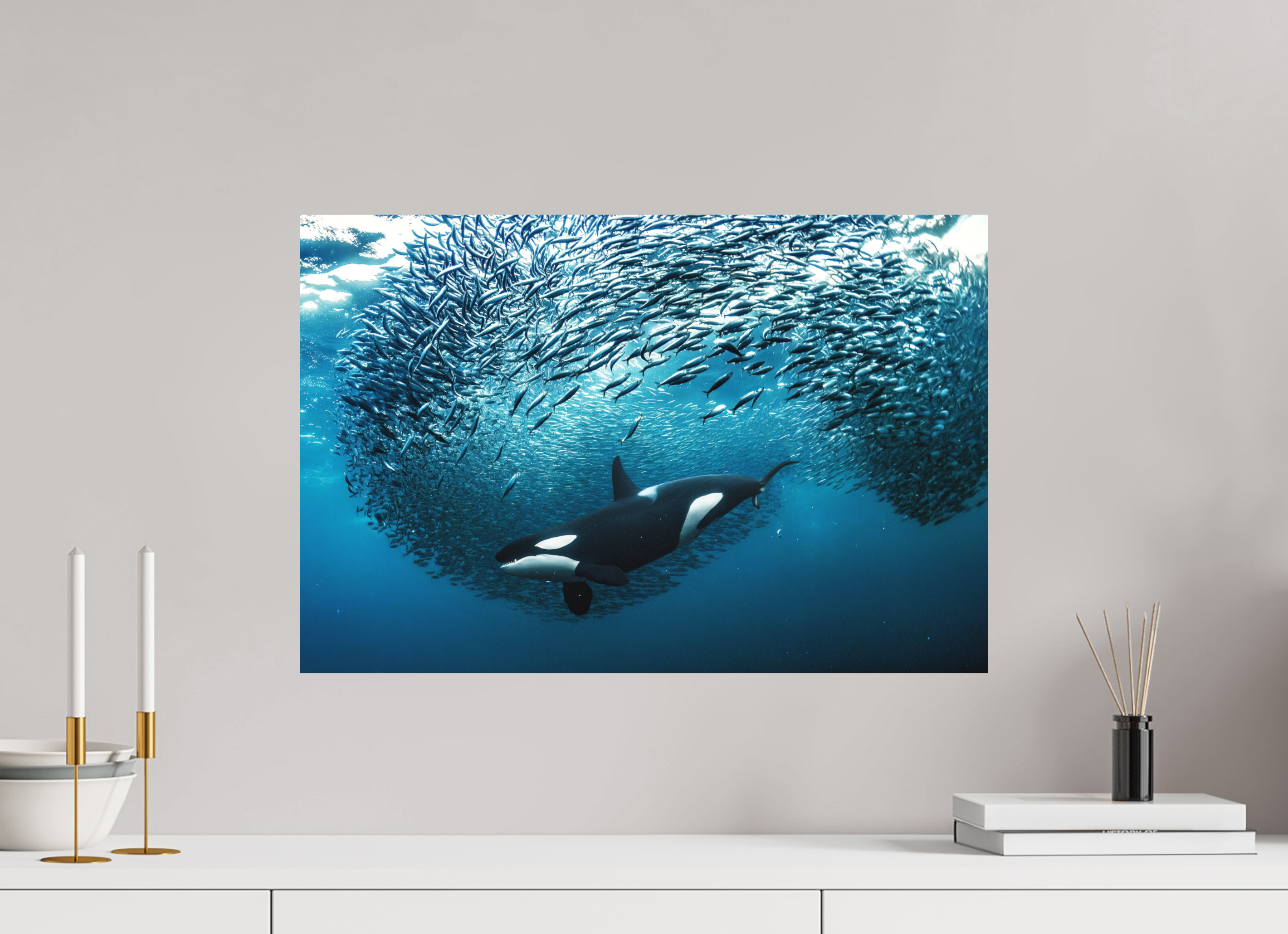 60 x 40 cm, Fine Art Print on Alu-Dibond Crowd Control