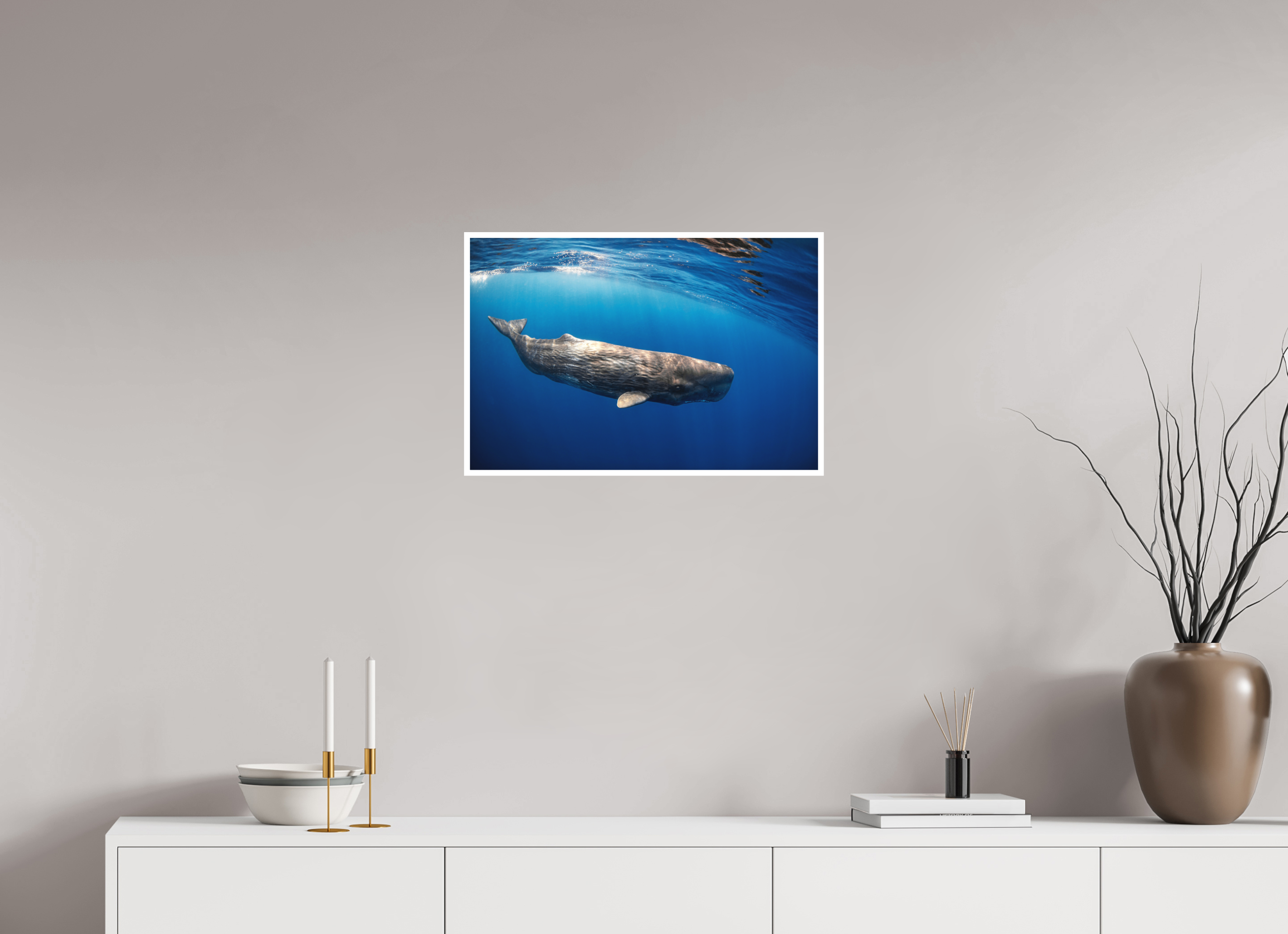 60 x 40 cm, Fine Art Print Only Juvenile Sperm Whale