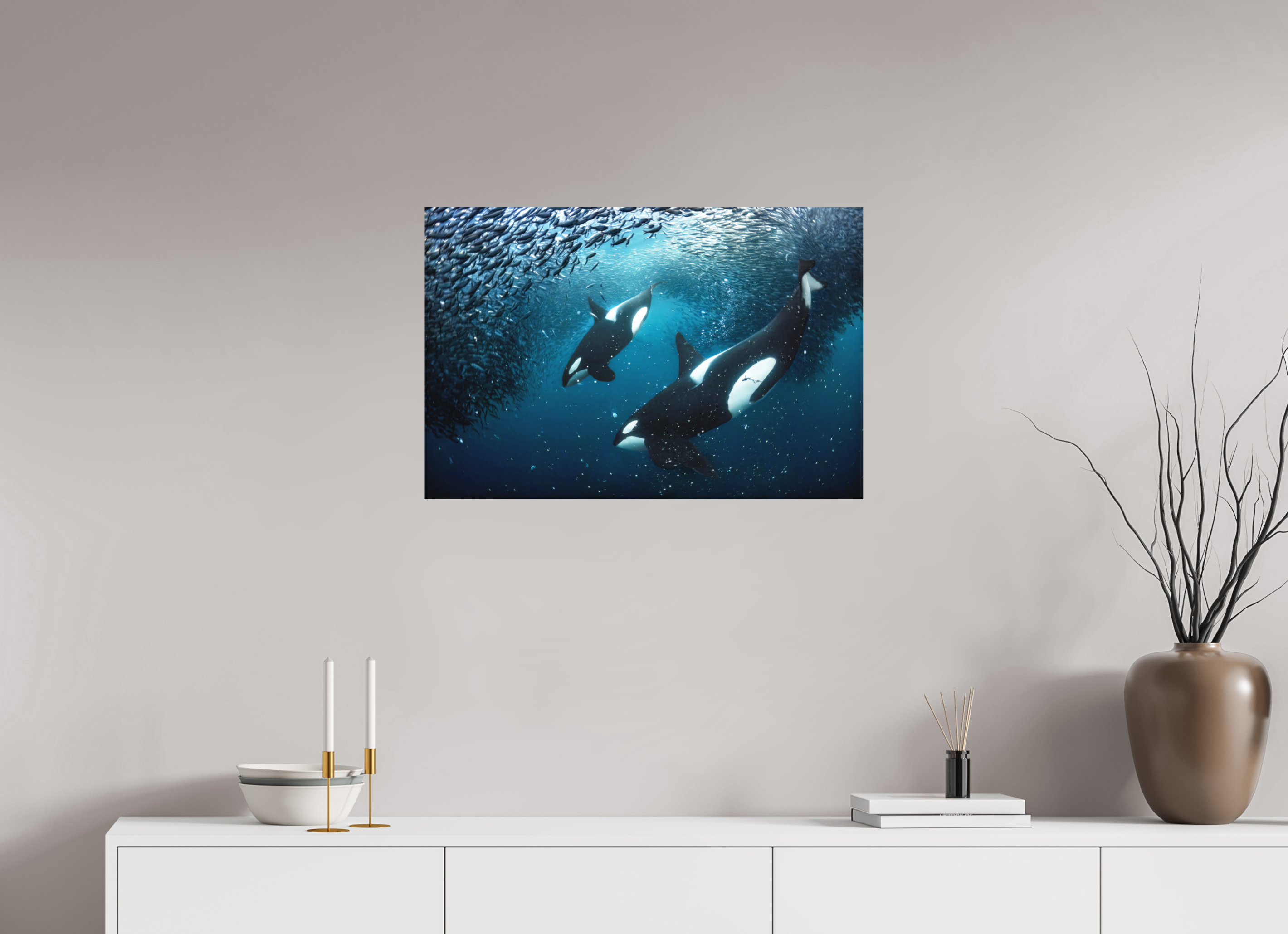 75 x 50 cm, Fine Art Print on Alu-Dibond Orcas on the Hunt
