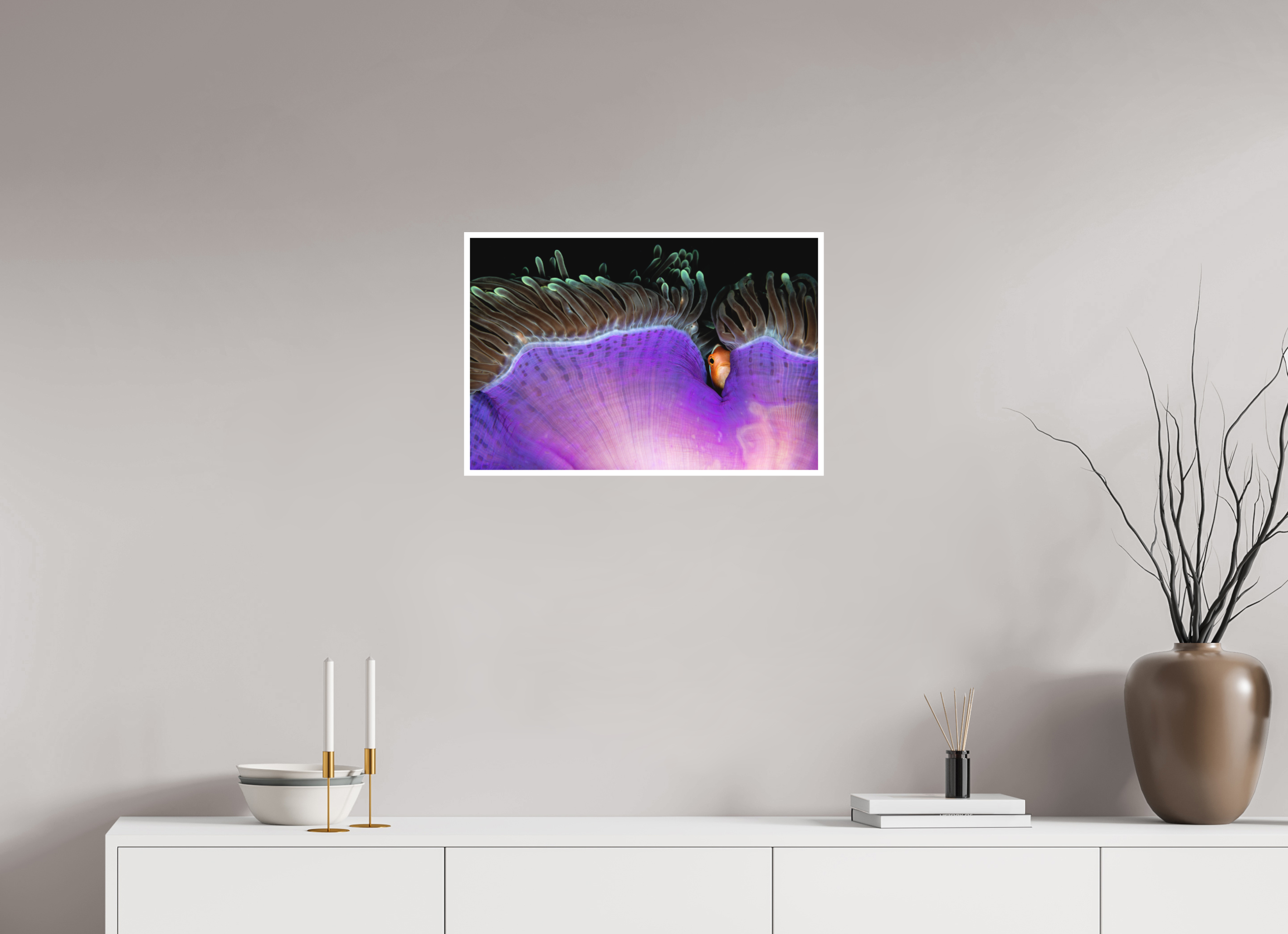 60 x 40 cm, Fine Art Print Only Shy Guy