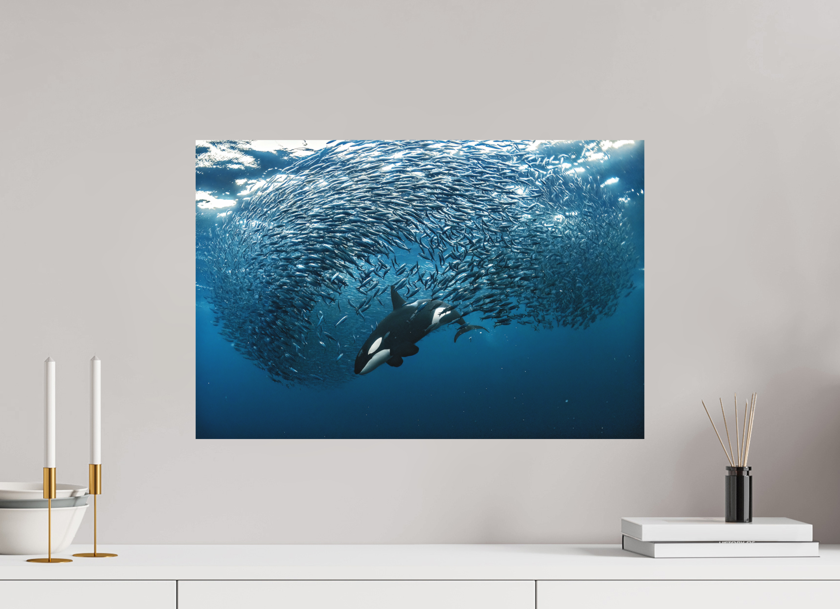 60 x 40 cm, Fine Art Print on Alu-Dibond Through the Ball