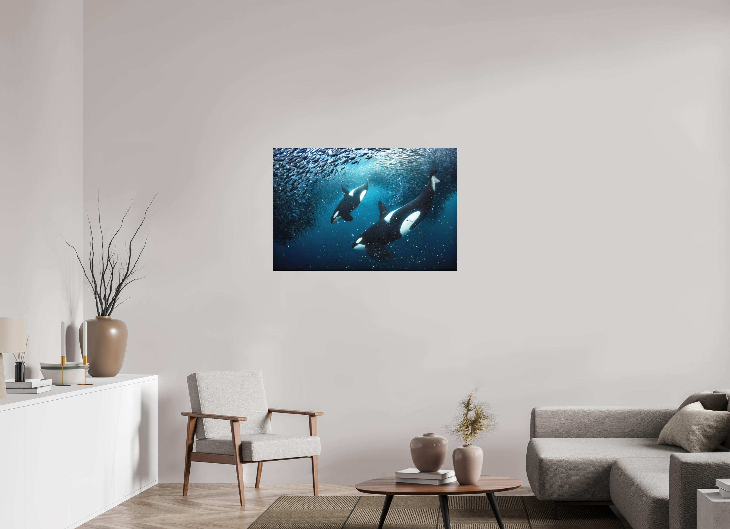 105 x 70 cm, Fine Art Print on Alu-Dibond Orcas on the Hunt