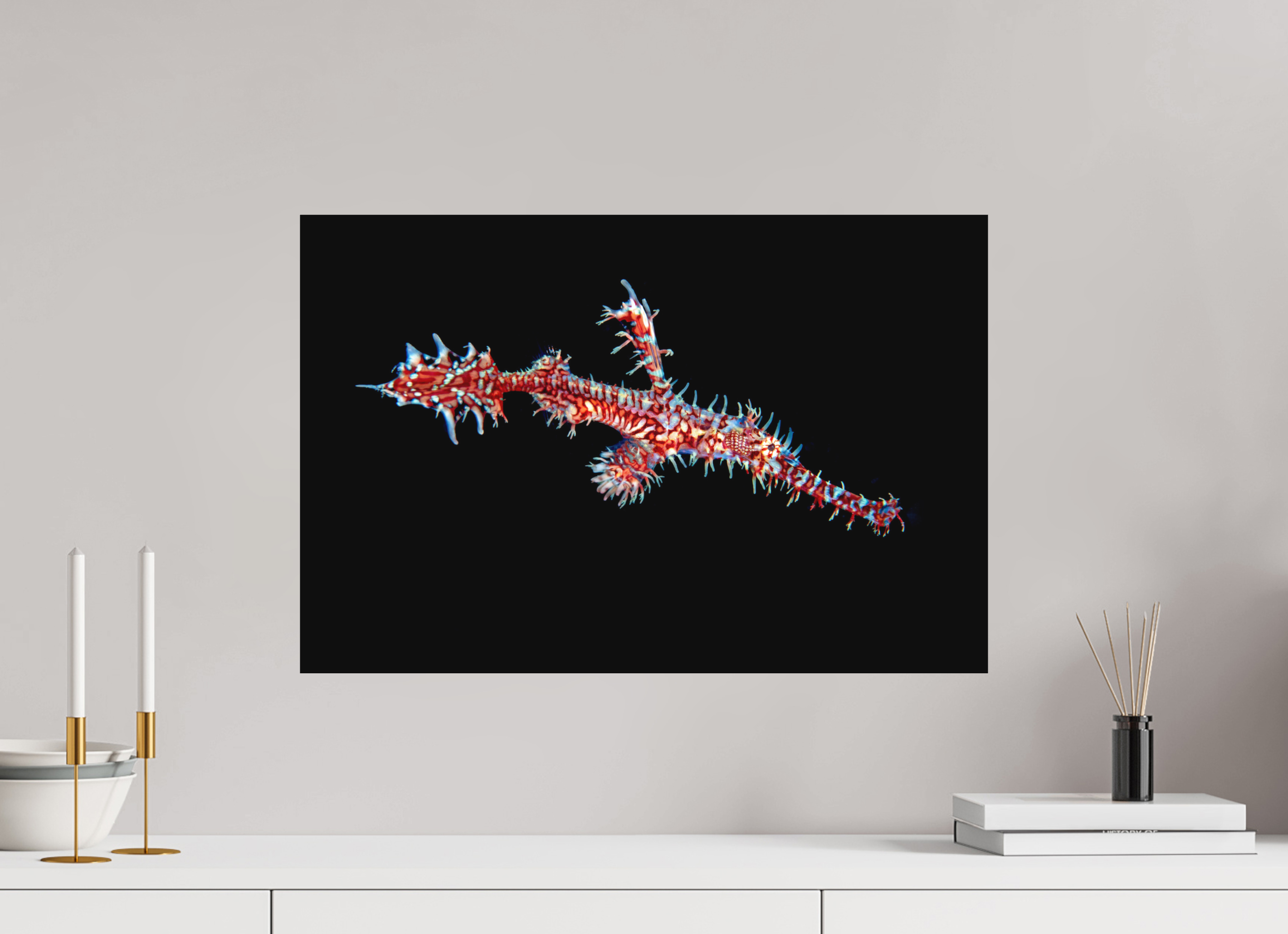 60 x 40 cm, Fine Art Print on Alu-Dibond Ghost Pipefish