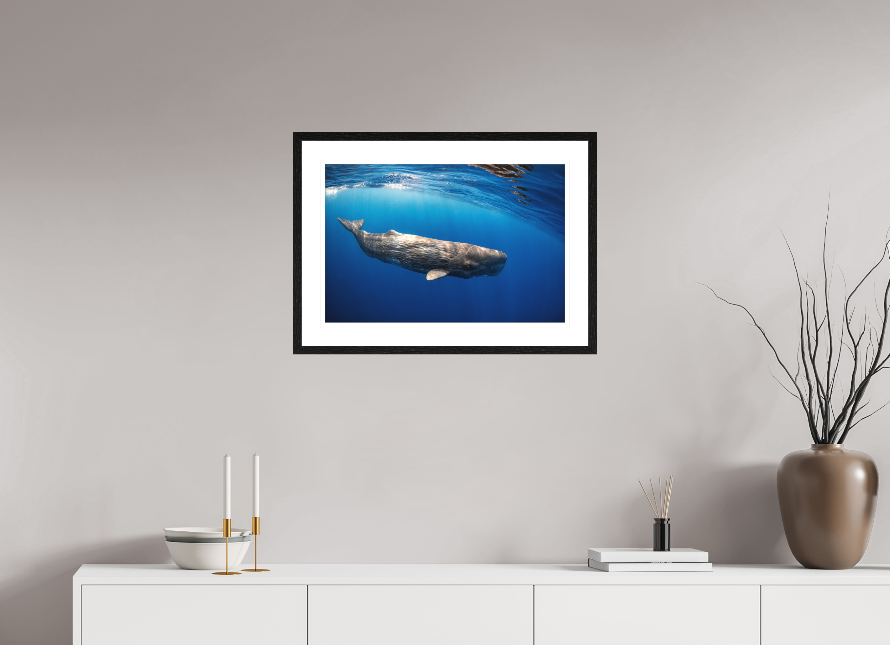 60 x 40 cm, Framed Print Juvenile Sperm Whale