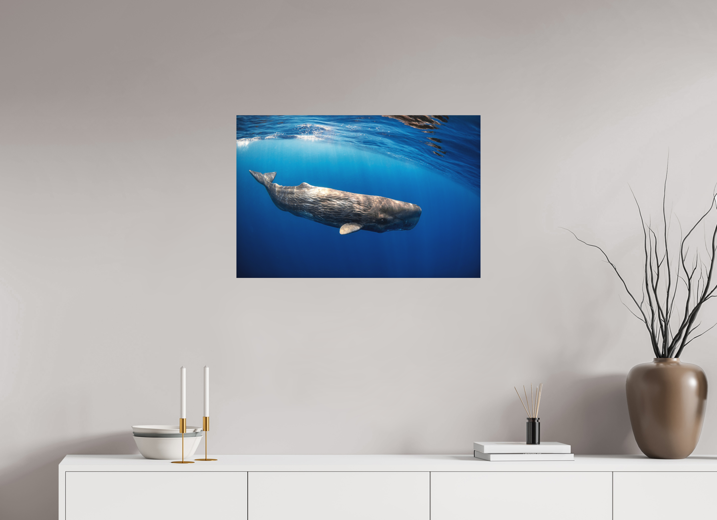 75 x 50 cm, Fine Art Print on Alu-Dibond Juvenile Sperm Whale