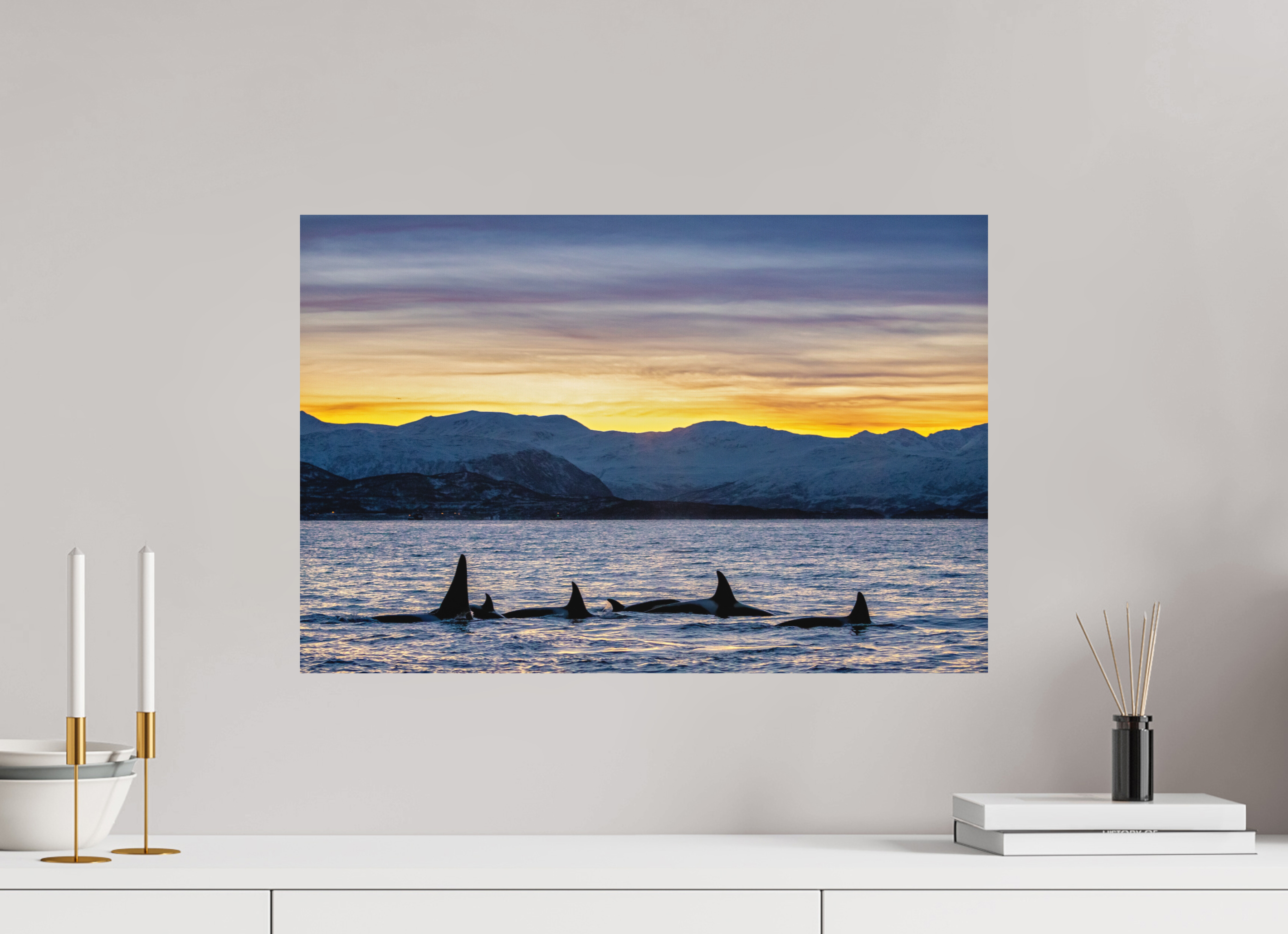 60 x 40 cm, Fine Art Print on Alu-Dibond Herring Chasers