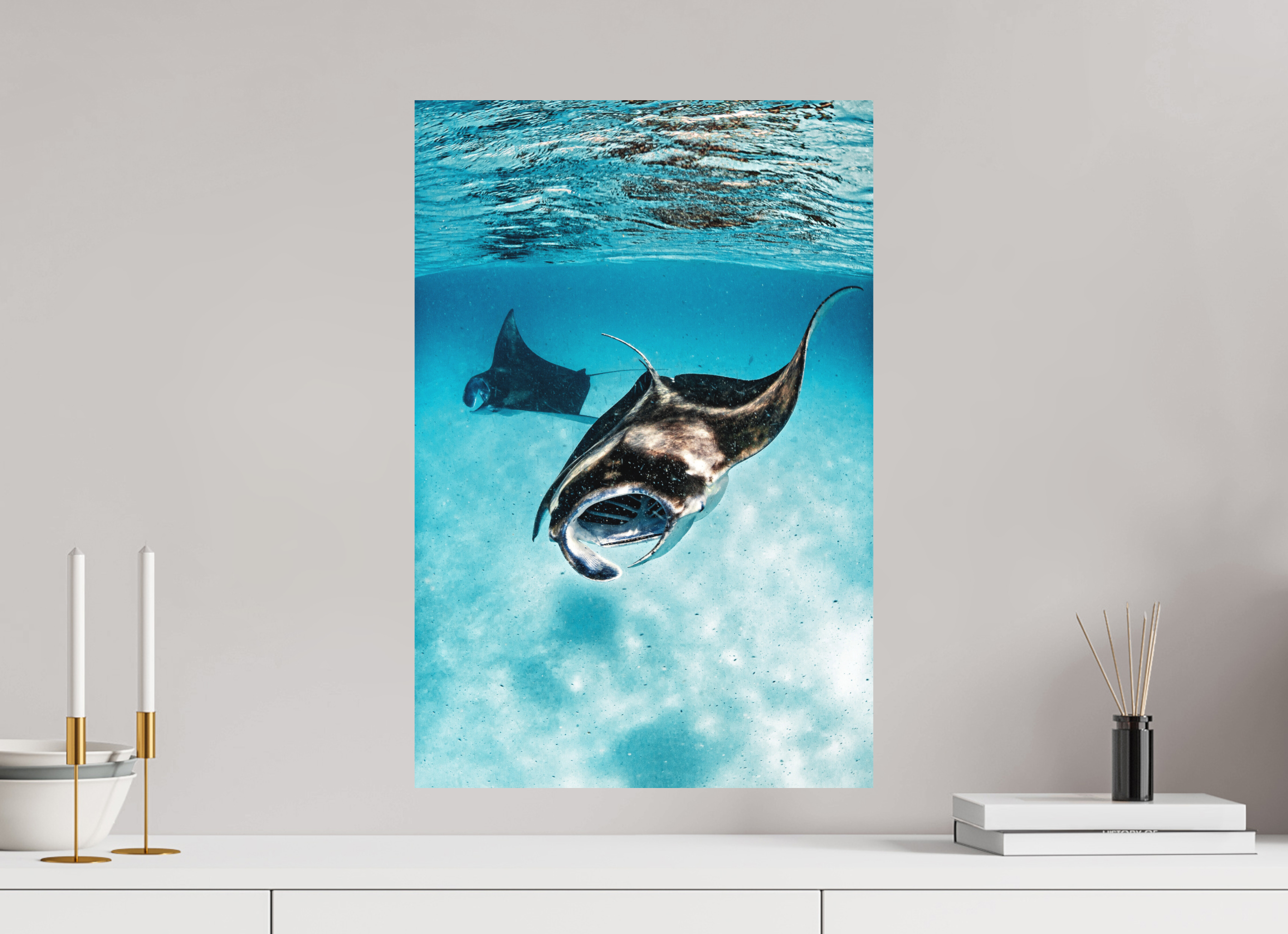 40 x 60 cm, Fine Art Print on Alu-Dibond Shallow Feeders