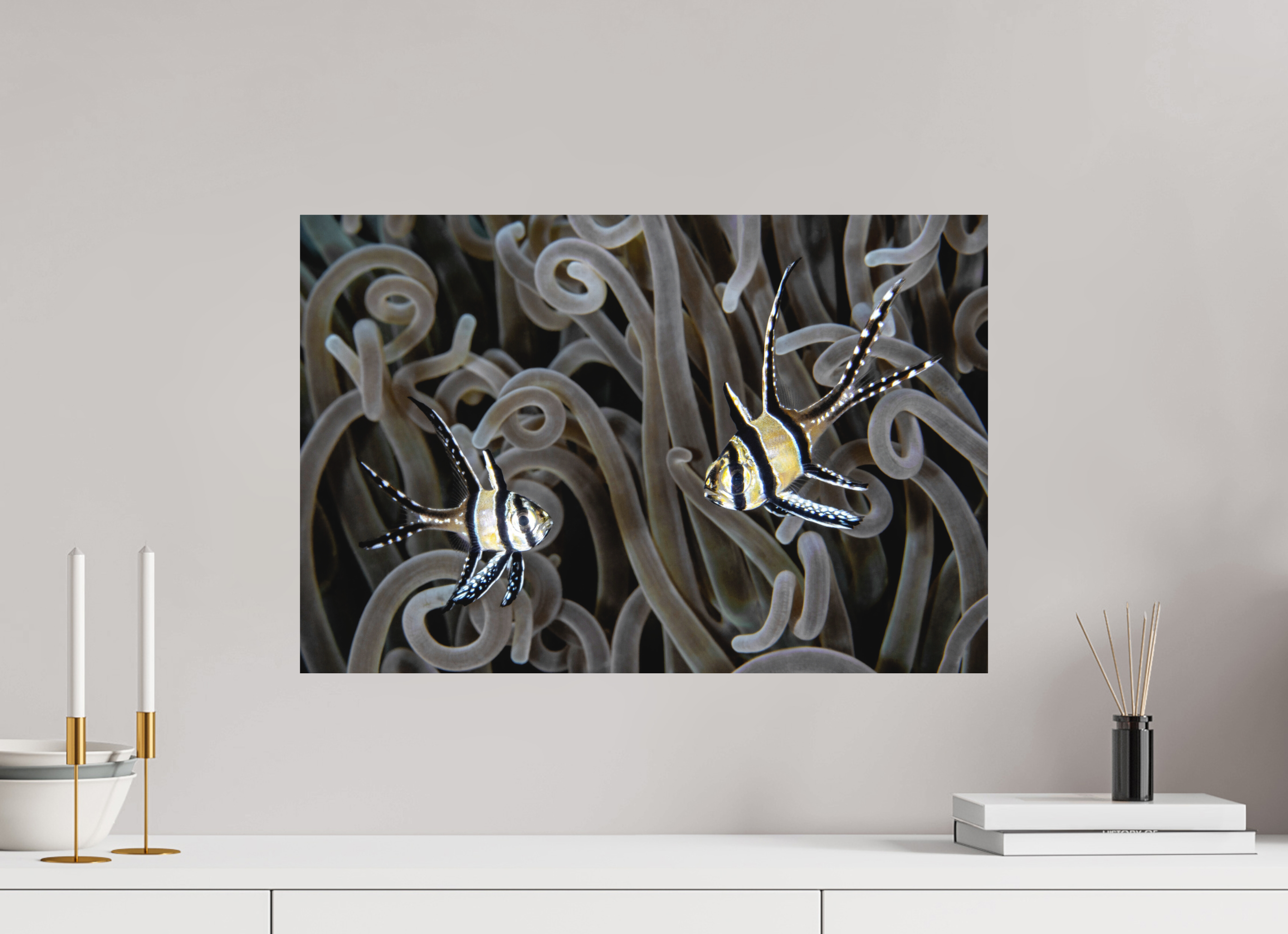 60 x 40 cm, Fine Art Print on Alu-Dibond Jewels of the Sea