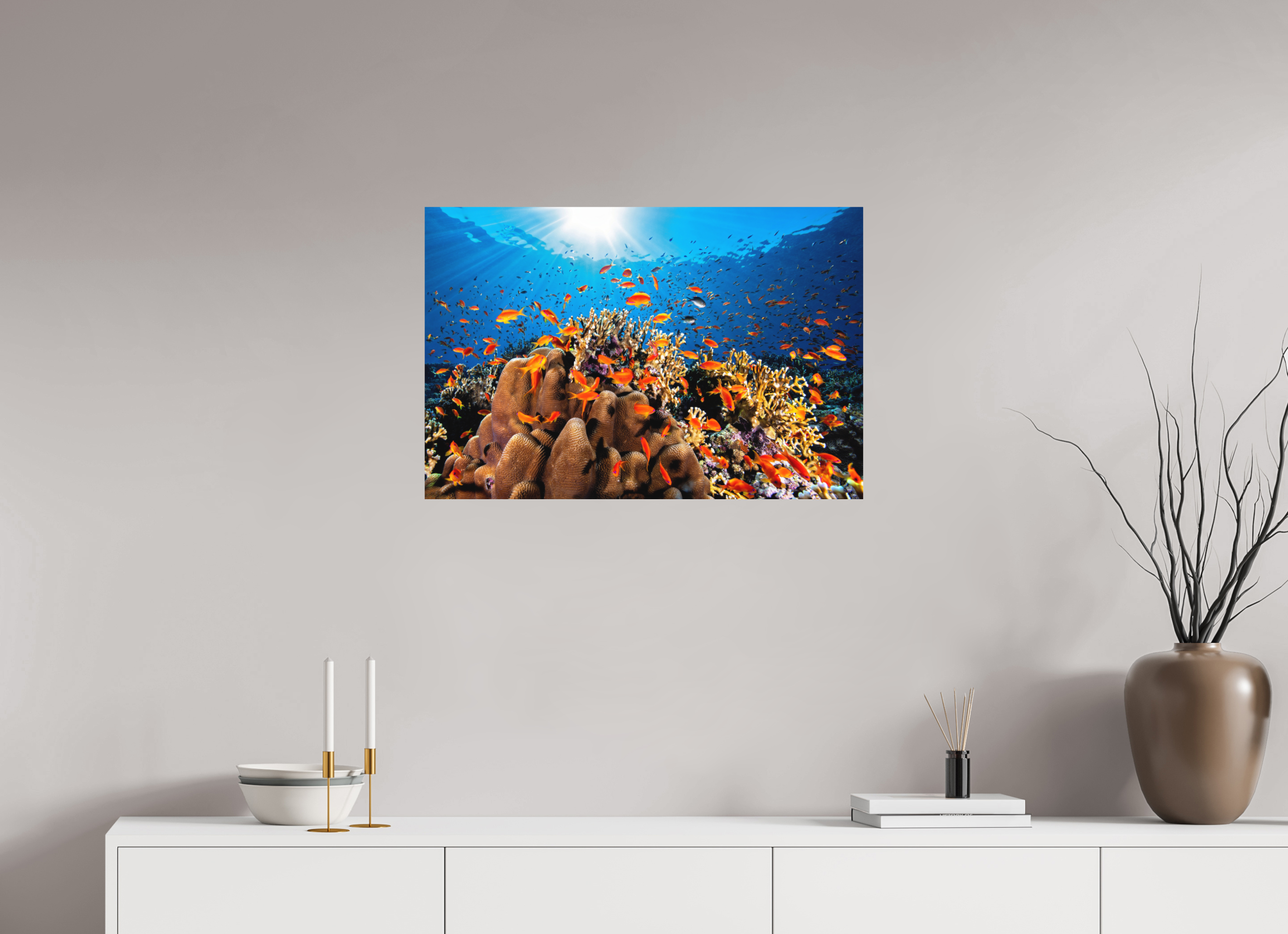 75 x 50 cm, Fine Art Print on Alu-Dibond Anthias Paradise