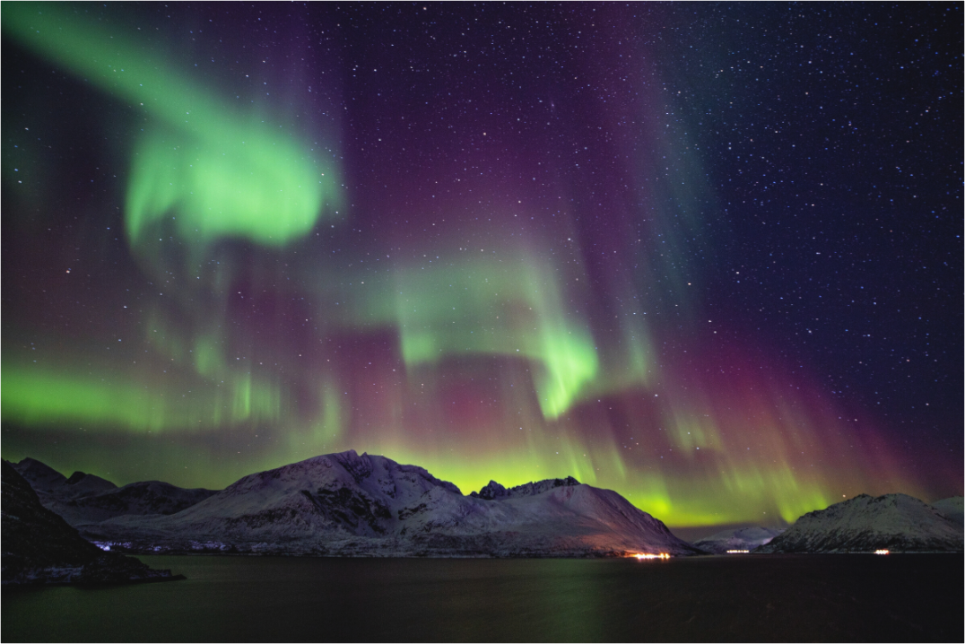 Main image Green Gold of Norway