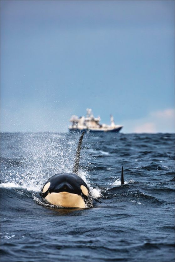 Main image Comin' Atcha!