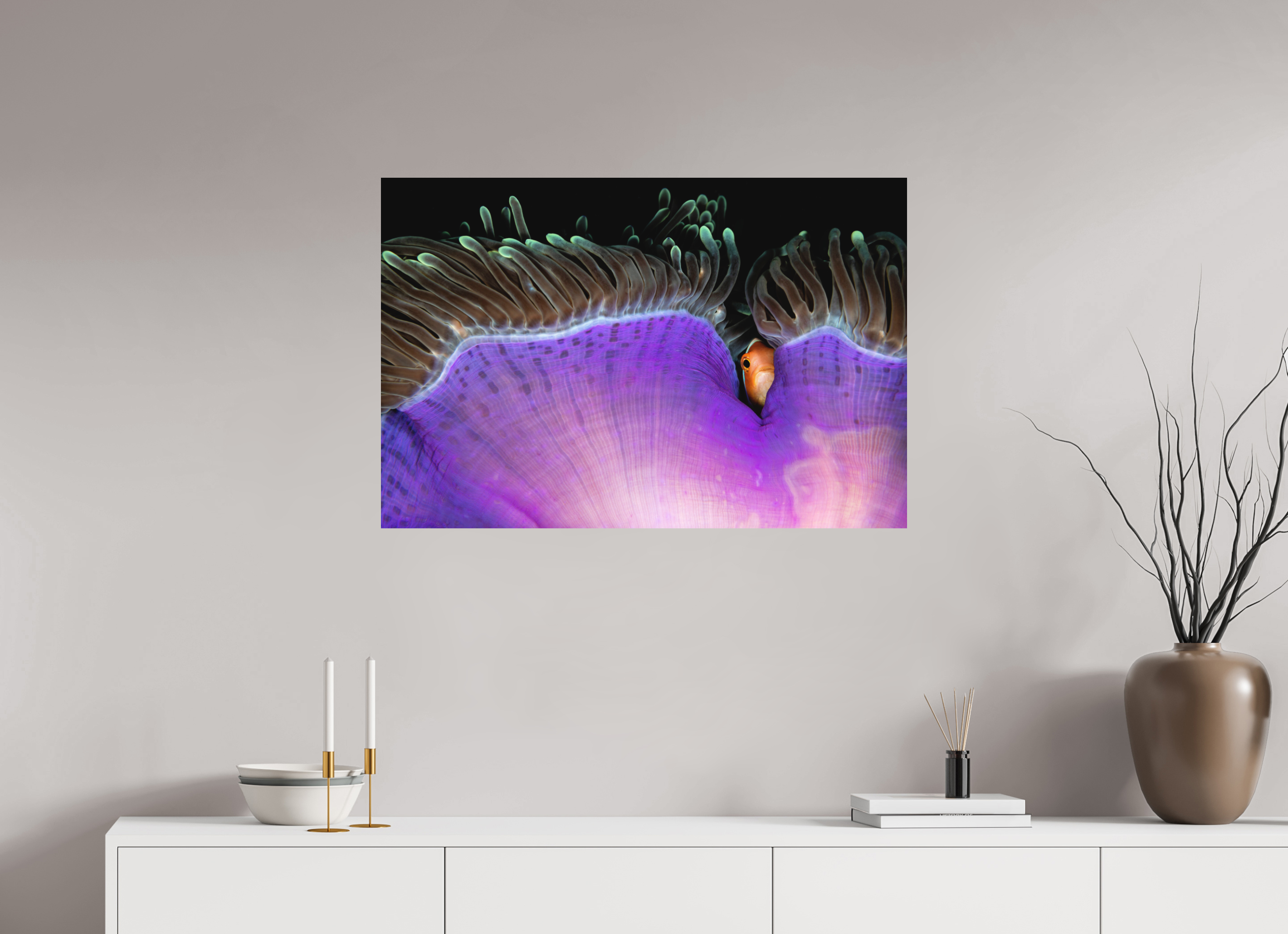90 x 60 cm, Fine Art Print on Alu-Dibond Shy Guy