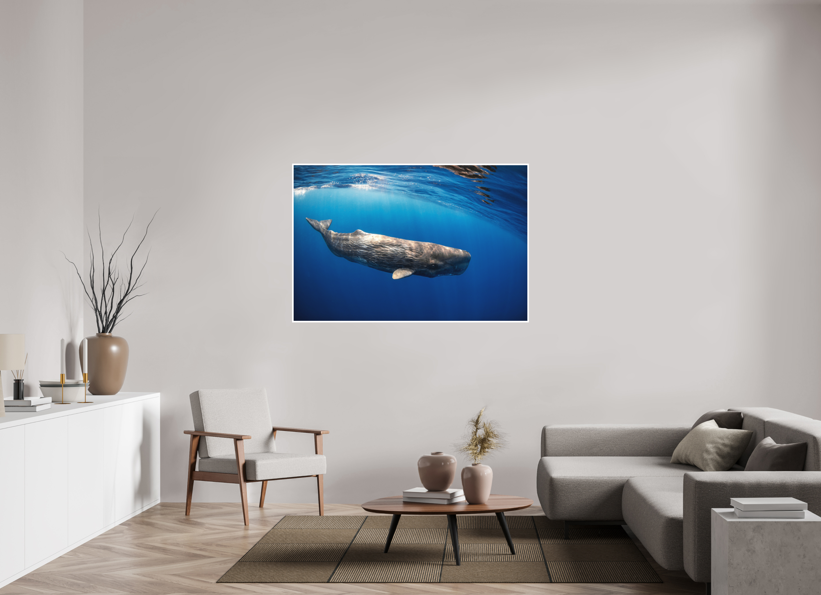 150 x 100 cm, Fine Art Print Only Juvenile Sperm Whale