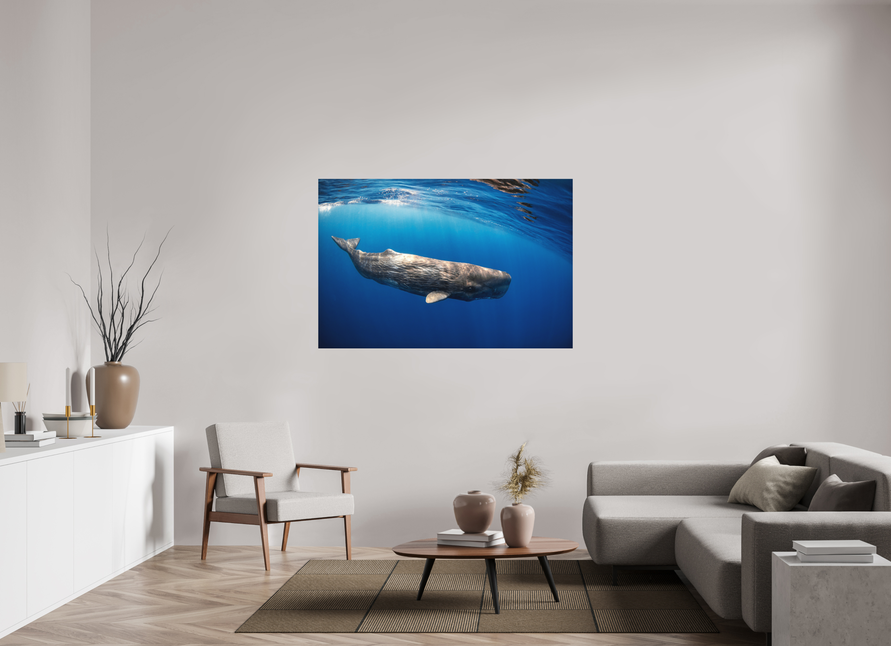 150 x 100 cm, Alu-Dibond Juvenile Sperm Whale