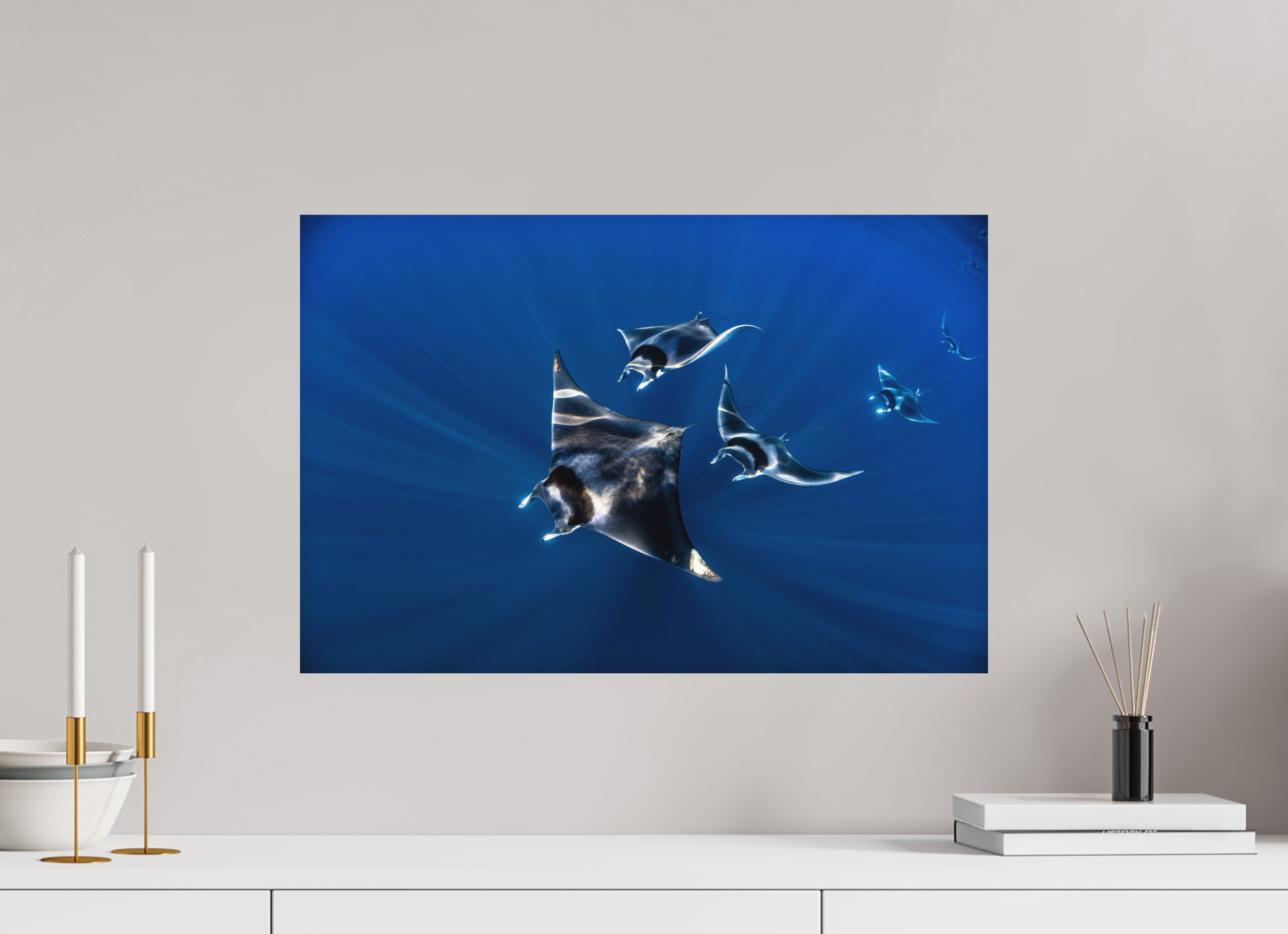 60 x 40 cm, Fine Art Print on Alu-Dibond Mobula Train
