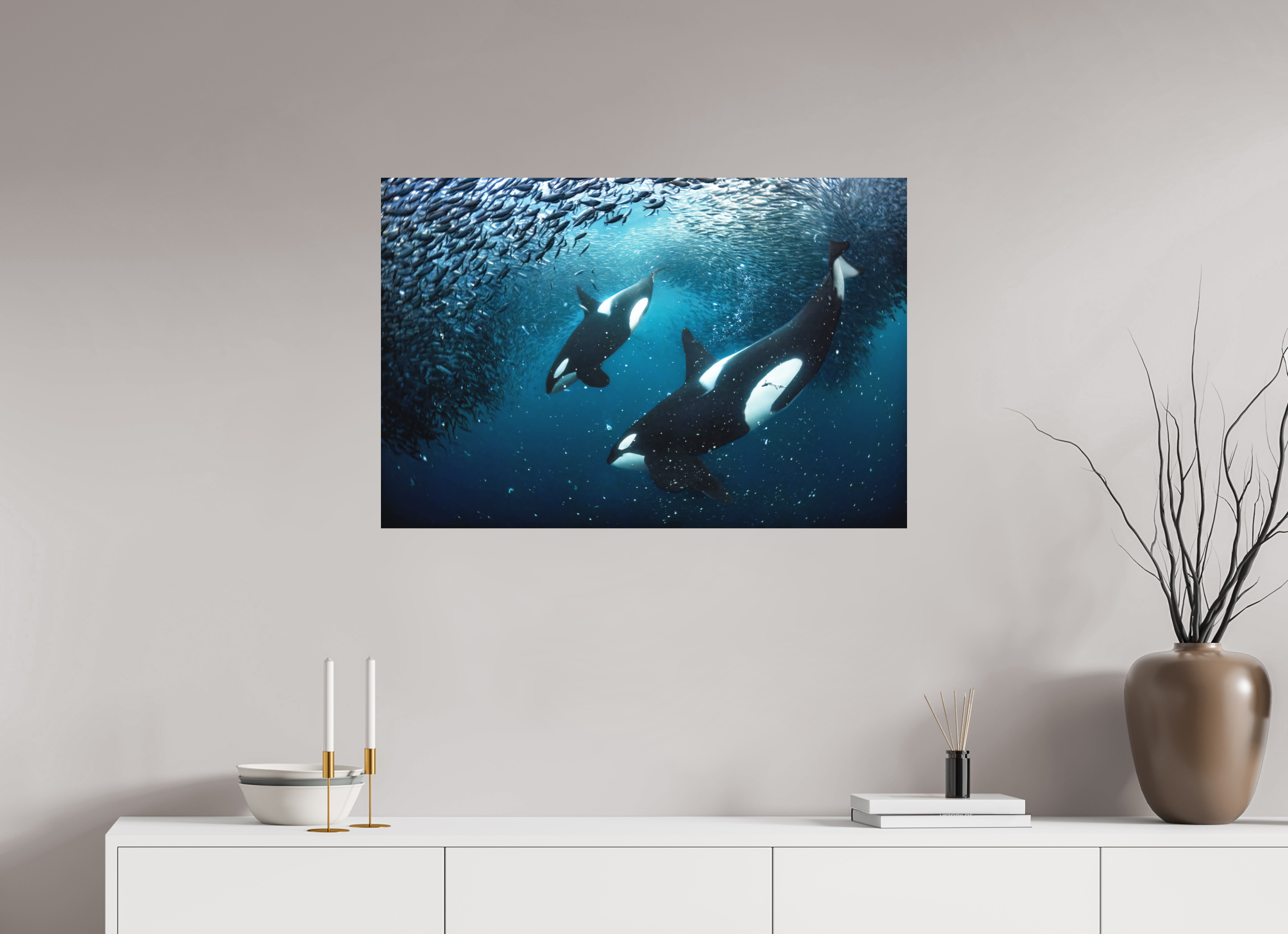 90 x 60 cm, Fine Art Print on Alu-Dibond Orcas on the Hunt