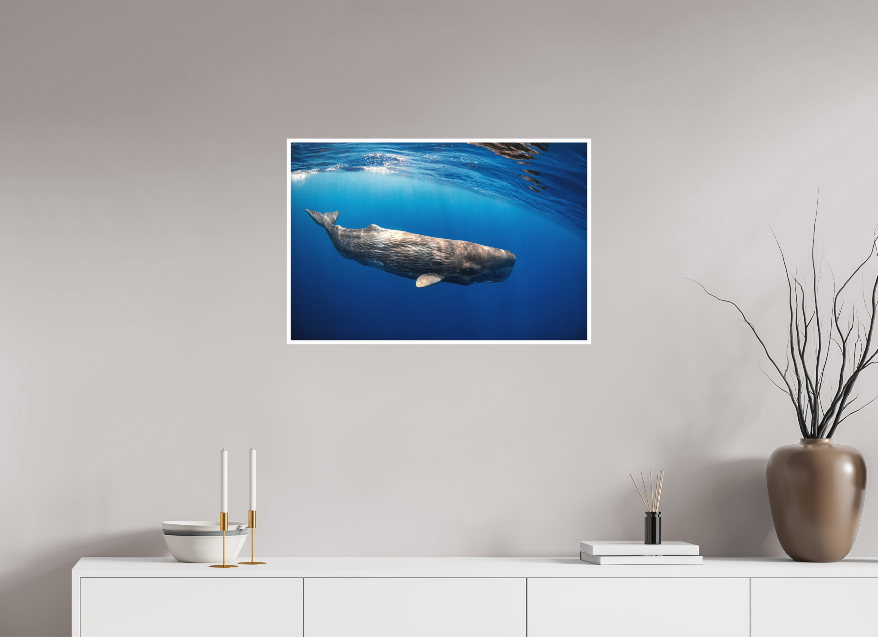 75 x 50 cm, Fine Art Print Only Juvenile Sperm Whale