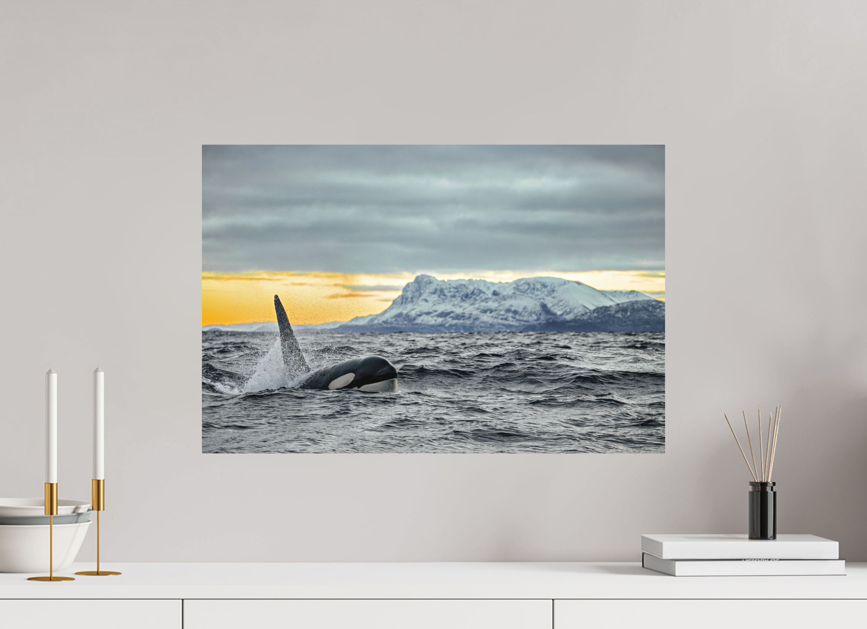 60 x 40 cm, Alu-Dibond King of the Fjords