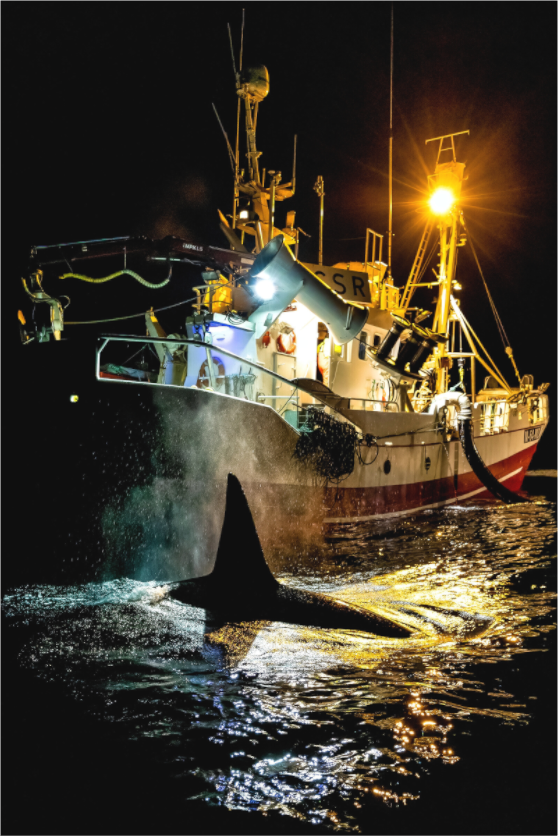 Main image Coexistence