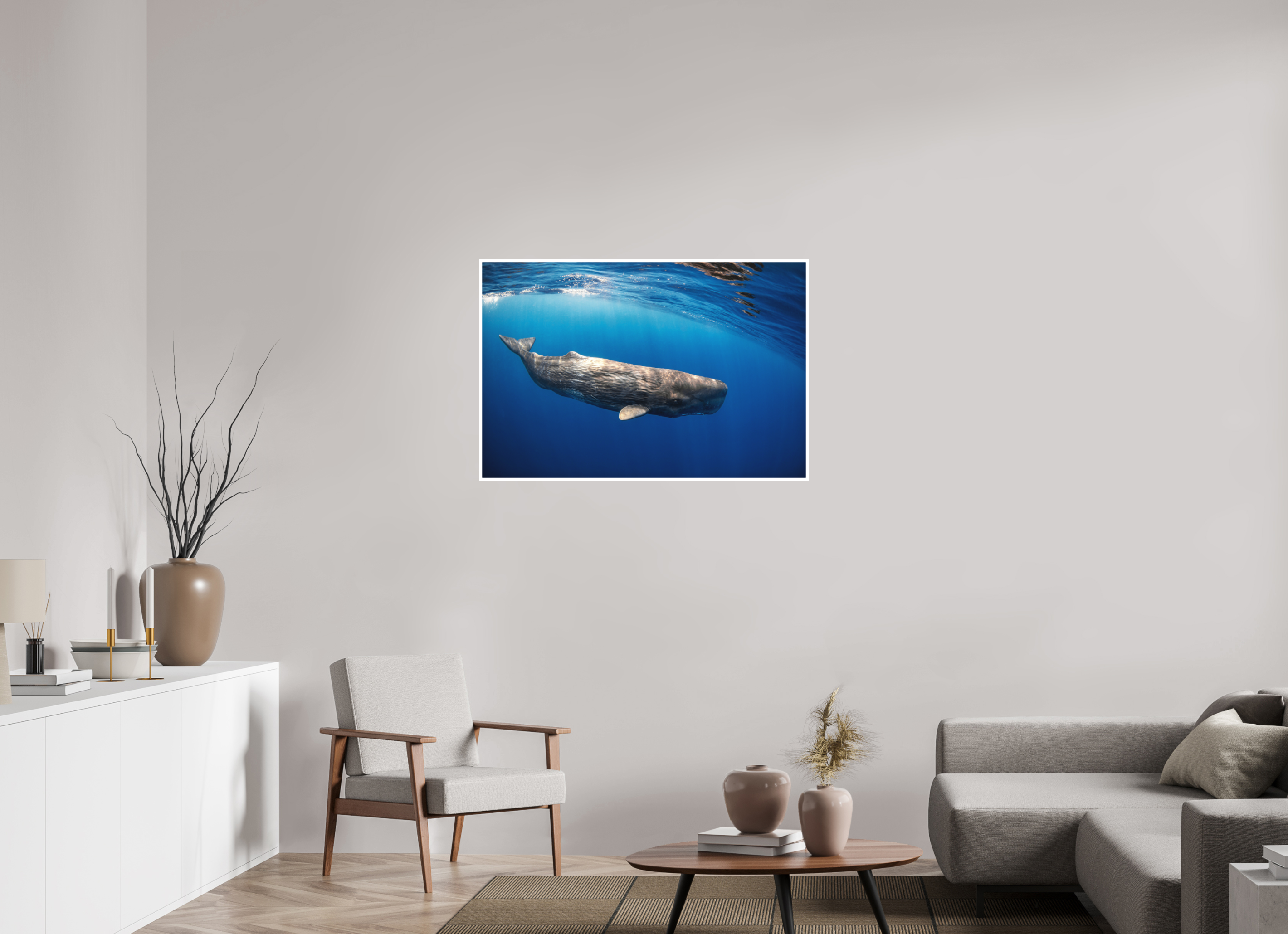 105 x 70 cm, Fine Art Print Only Juvenile Sperm Whale