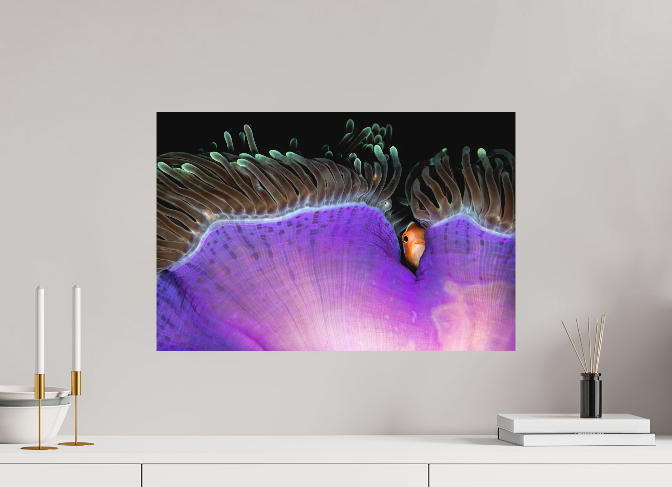 60 x 40 cm, Fine Art Print on Alu-Dibond Shy Guy