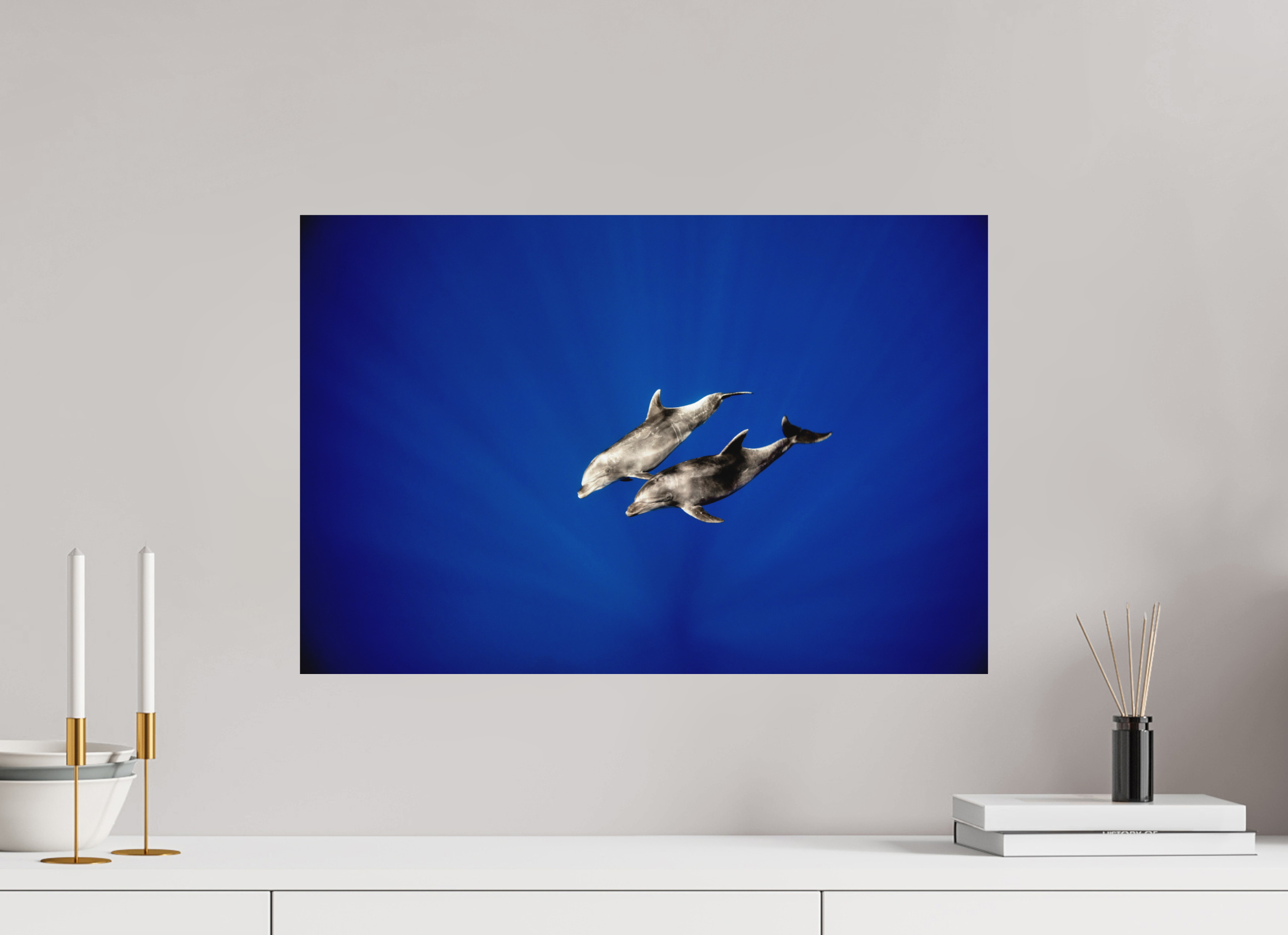 60 x 40 cm, Fine Art Print on Alu-Dibond Bottlenose Duo