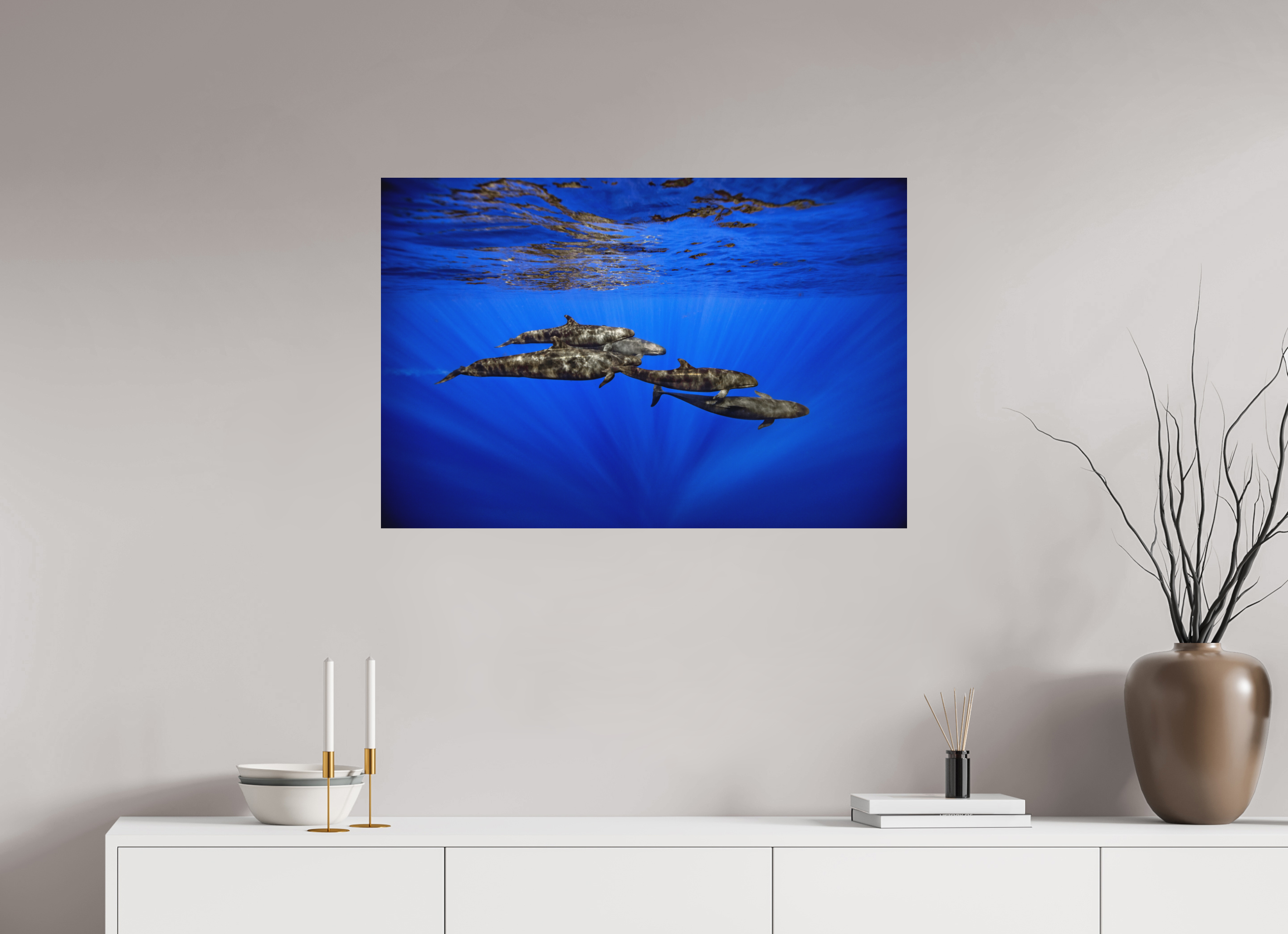 90 x 60 cm, Fine Art Print on Alu-Dibond False Killers