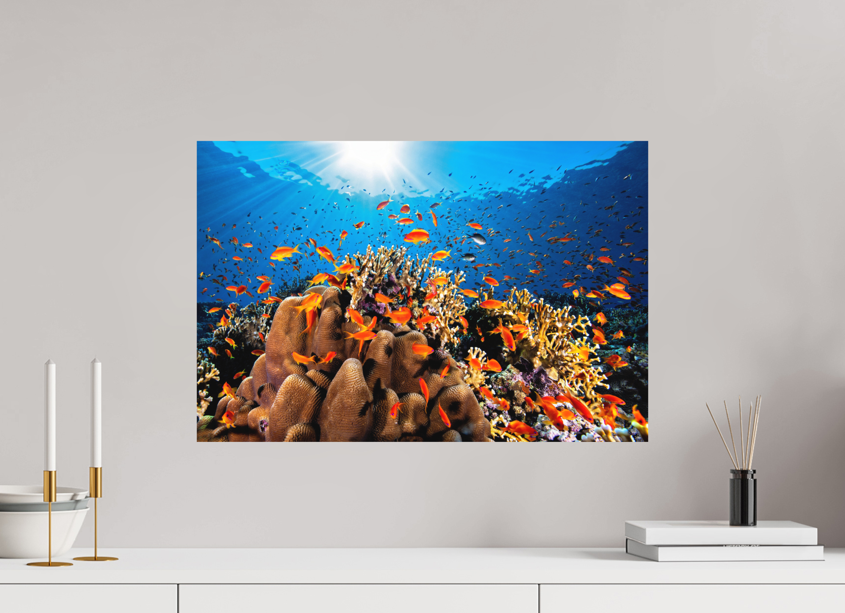 60 x 40 cm, Fine Art Print on Alu-Dibond Anthias Paradise