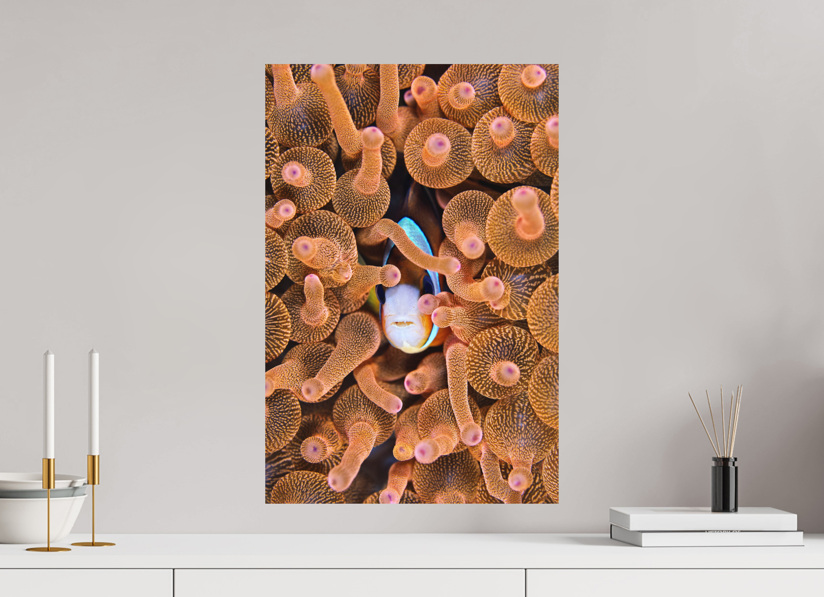 40 x 60 cm, Fine Art Print on Alu-Dibond Nestled