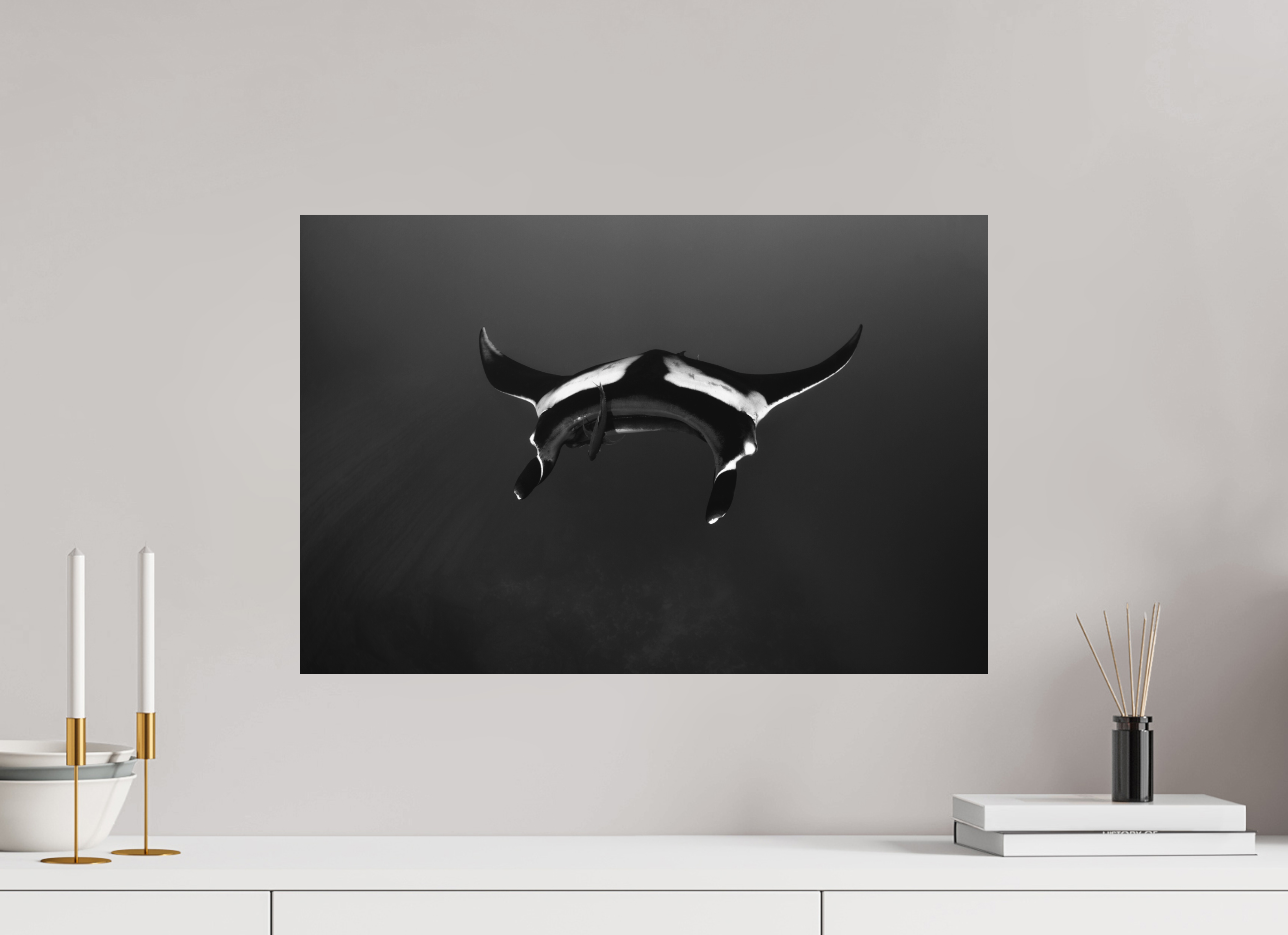 60 x 40 cm, Fine Art Print on Alu-Dibond Incoming Oceanic Manta