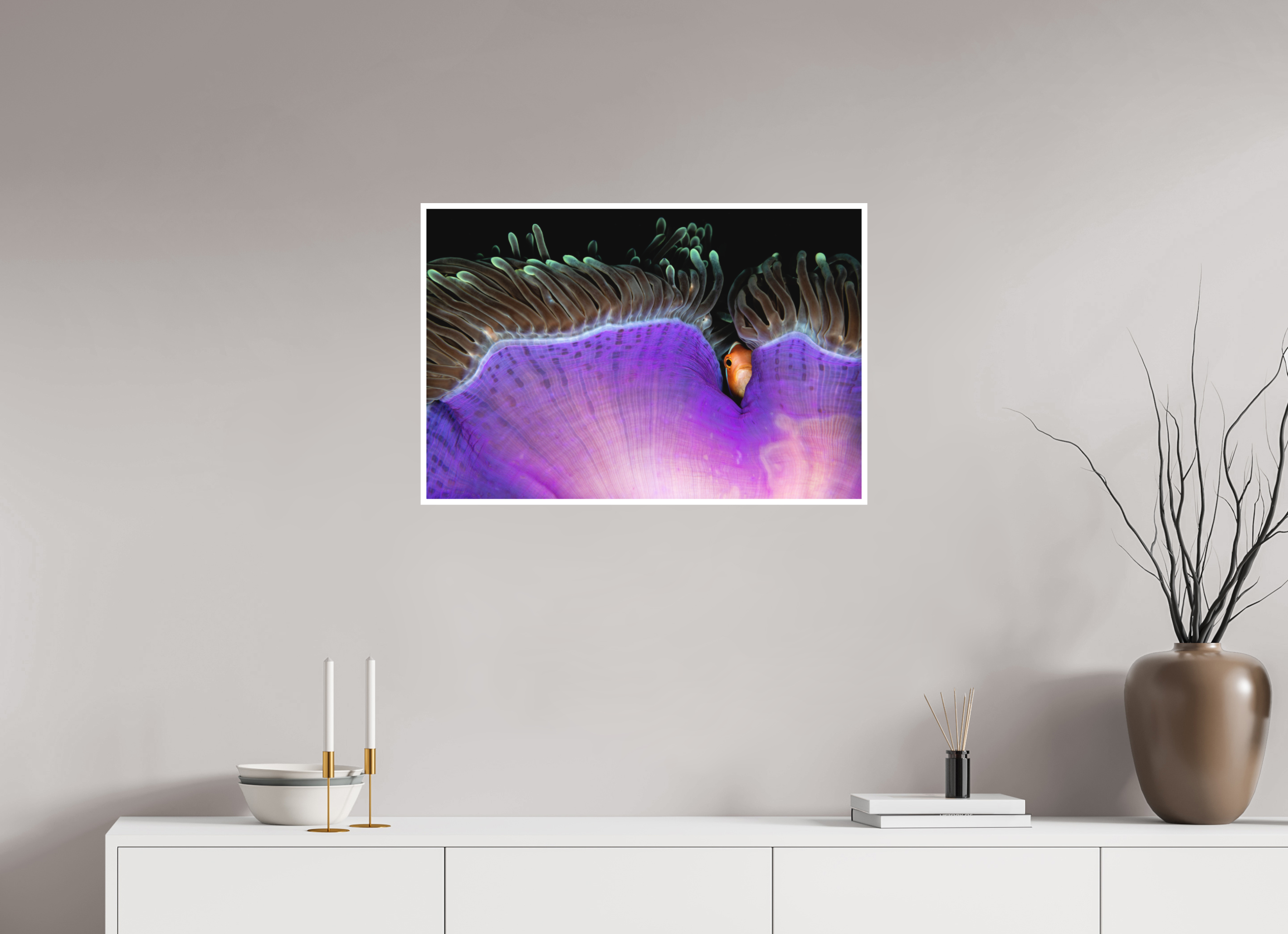 75 x 50 cm, Fine Art Print Only Shy Guy