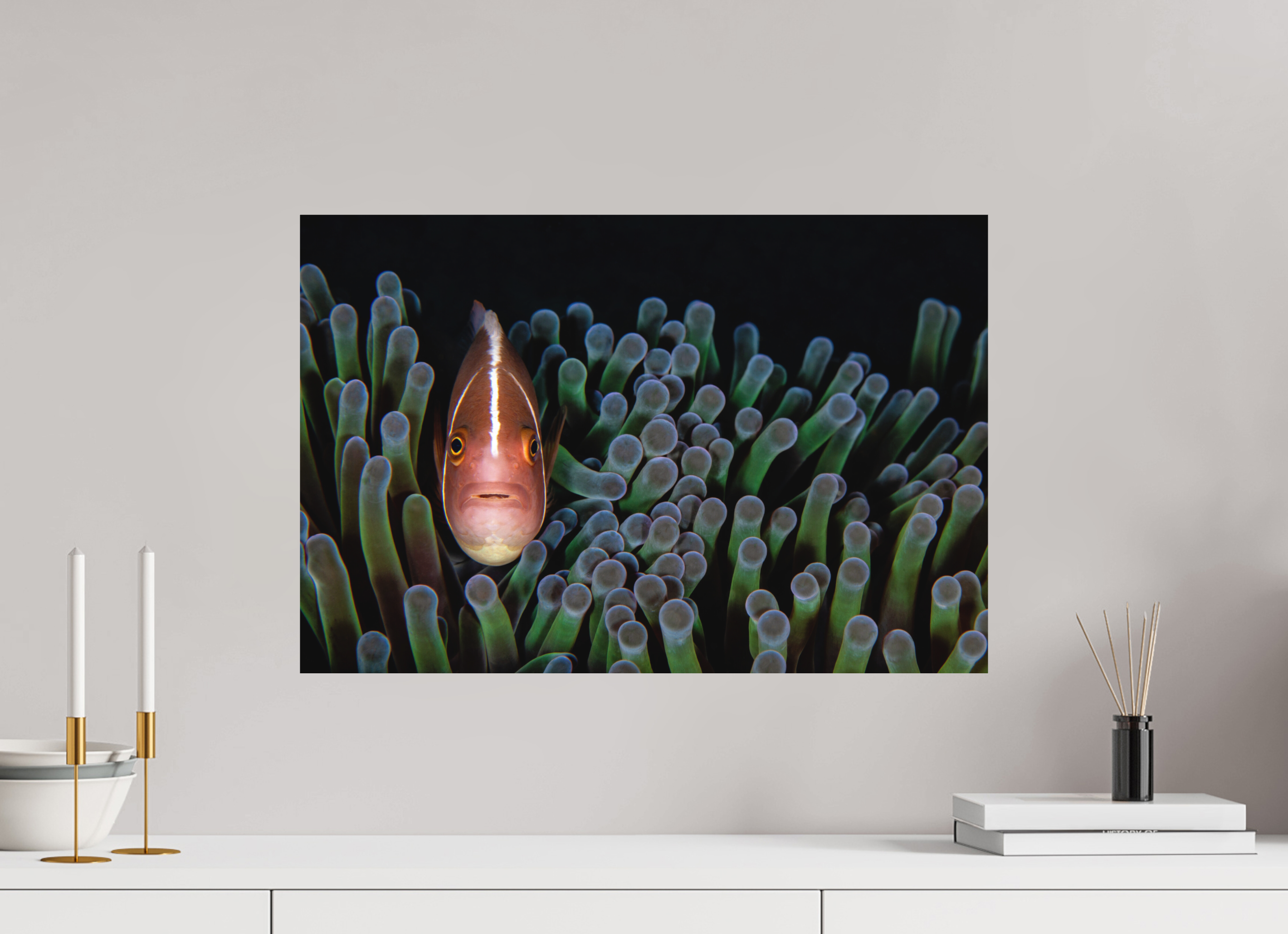 60 x 40 cm, Fine Art Print on Alu-Dibond Tucked In