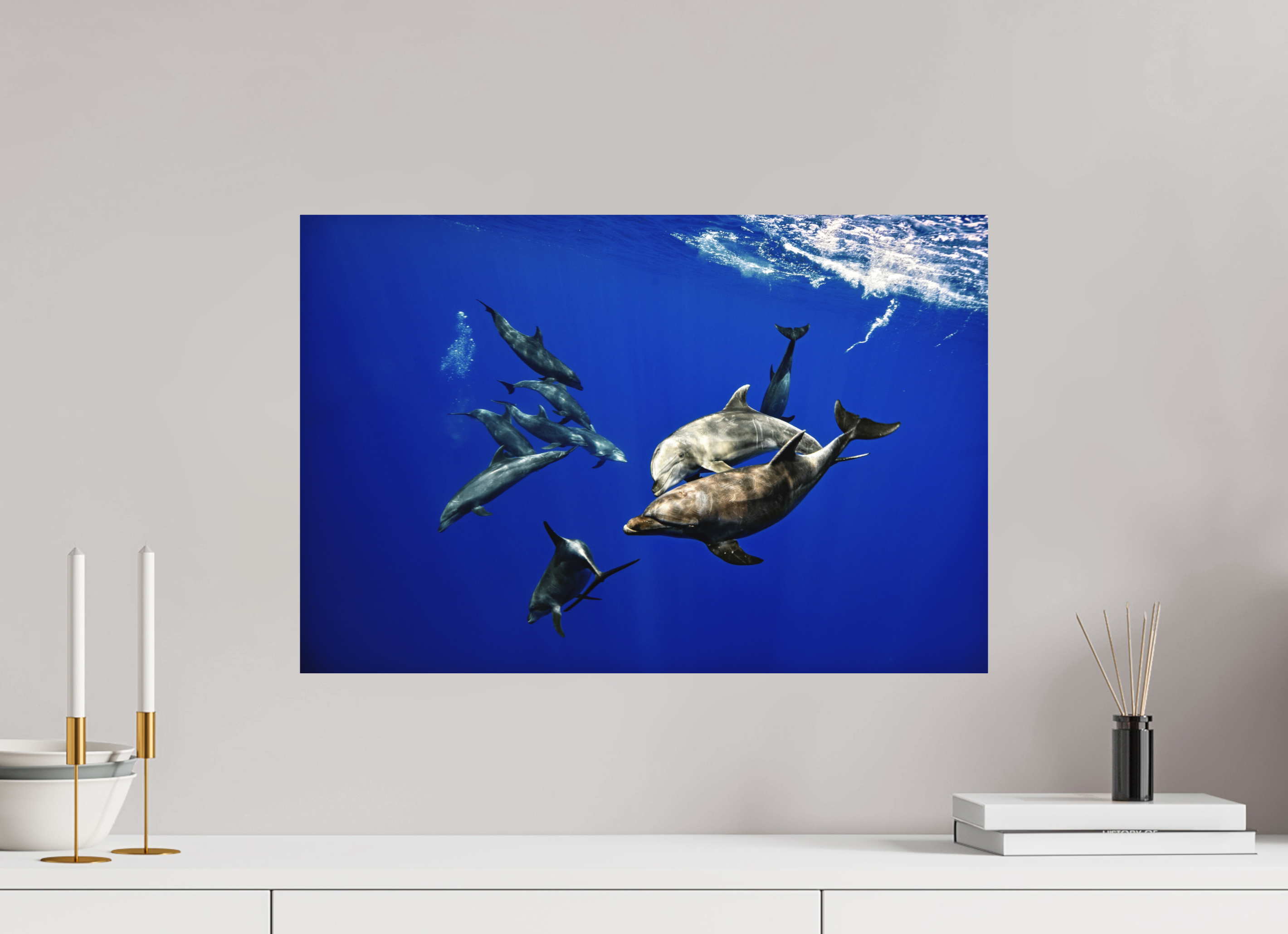 60 x 40 cm, Fine Art Print on Alu-Dibond Wild & Free