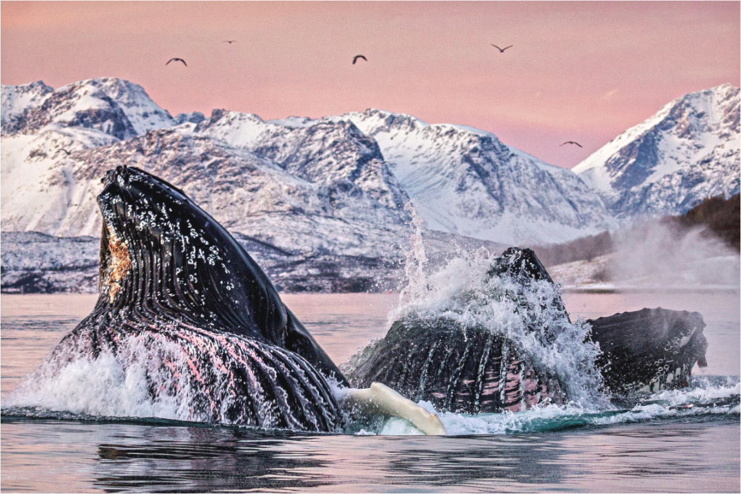 Main image Mouths Full