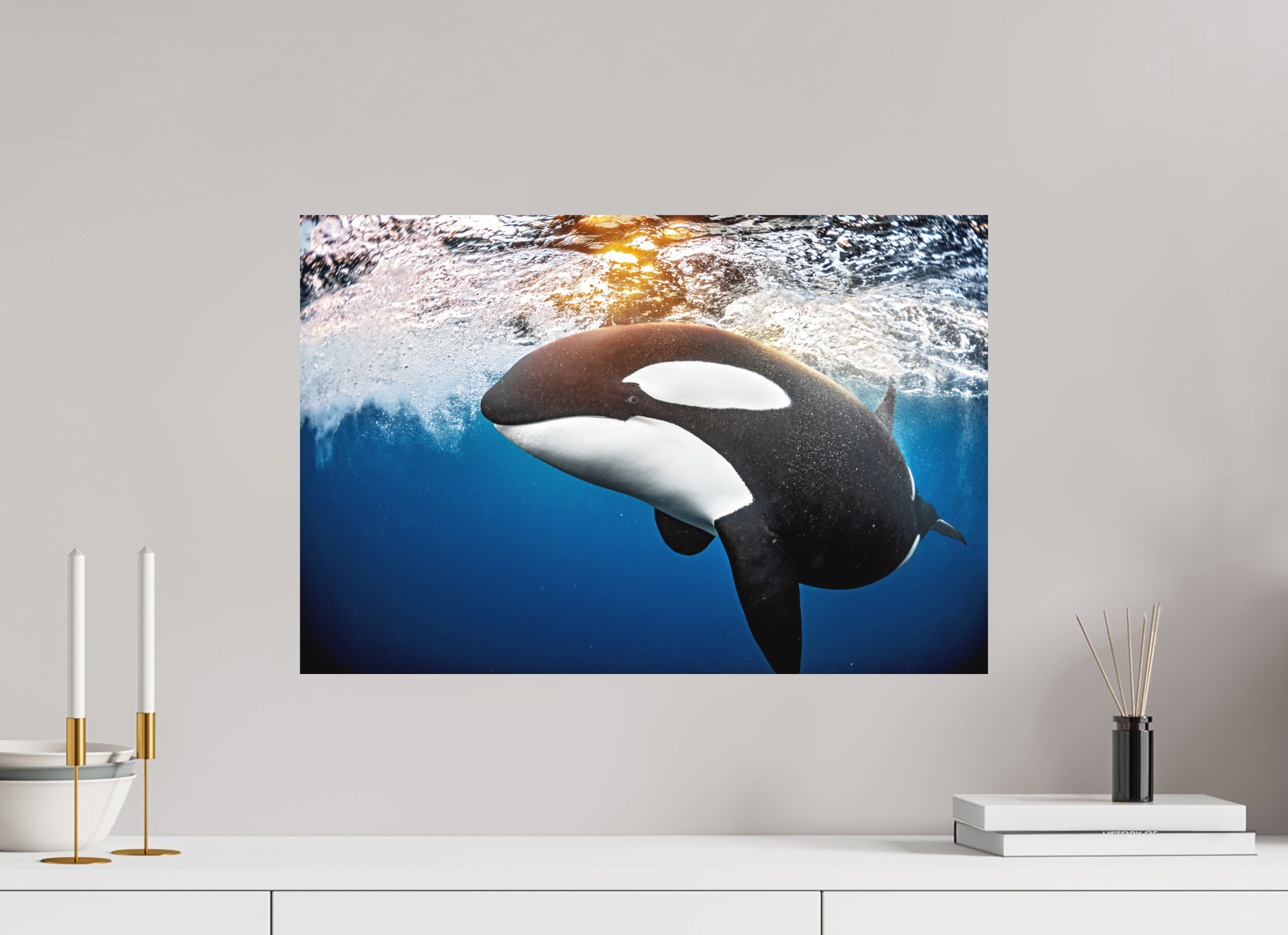 60 x 40 cm, Fine Art Print on Alu-Dibond Golden Orca