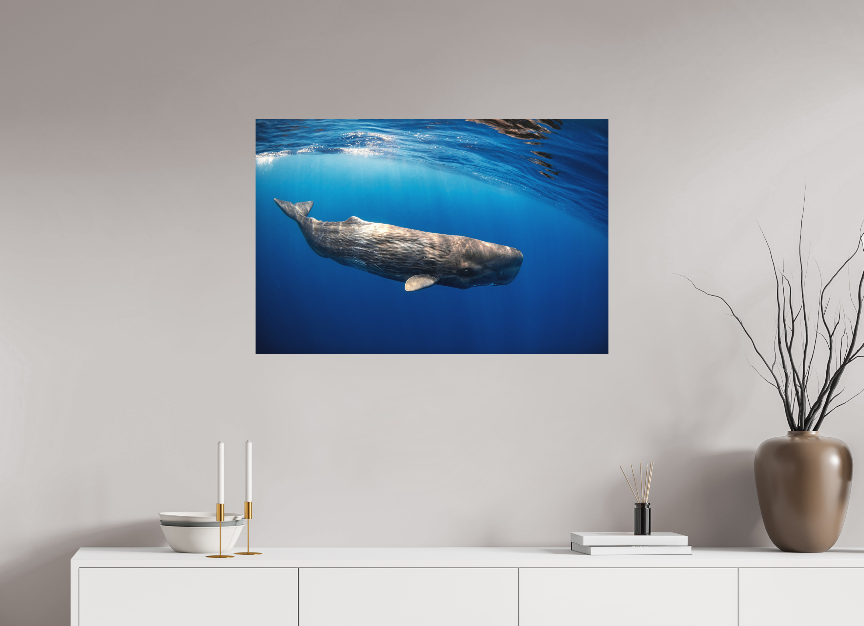 90 x 60 cm, Alu-Dibond Juvenile Sperm Whale